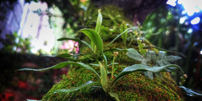 中国苗族77：探寻千年文化遗产与民族特色之美