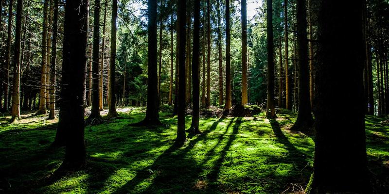 探秘中国苗族：银饰流光中的千年文化遗产