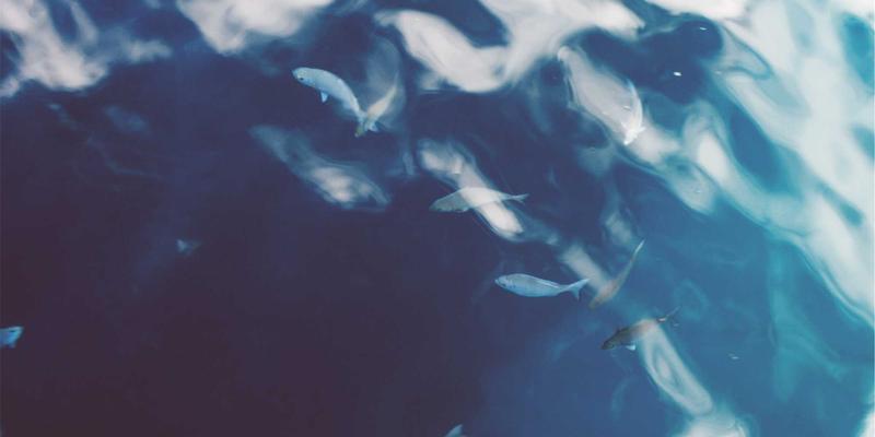 探秘苗族历法‘苗甲子’：古老物候纪年如何指引中国苗族的农耕节律与特色节日