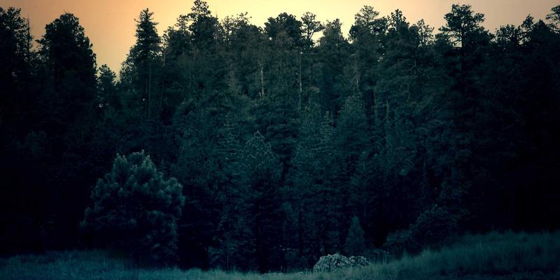 苗族芦笙舞：节日庆典的灵魂，民族文化的活态传承