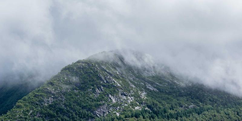 苗族蜡染技艺：从蓝白幻境到现代设计的东方美学密码