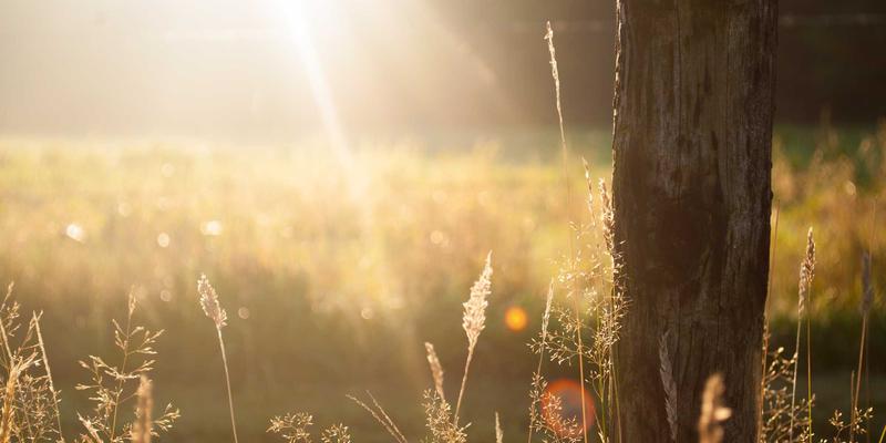 苗族银饰工艺的家族传承谱系研究：以黔东南控拜村为例