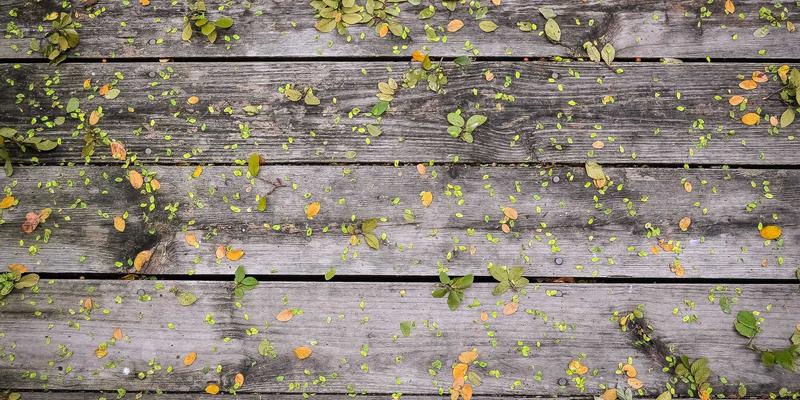 银饰叮当与商业喧嚣：西江千户苗寨的文化真实性博弈