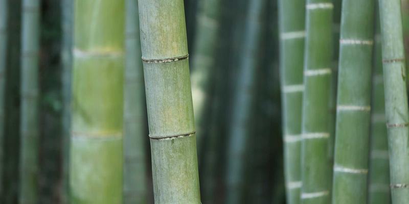 黔东北苗族傩戏面具艺术：鬼神形象的民族特色与审美表达